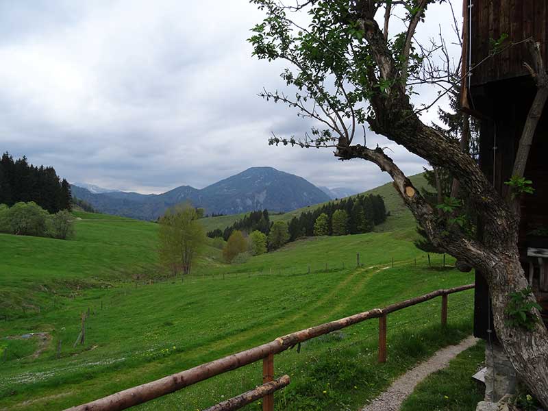 Hochkogel